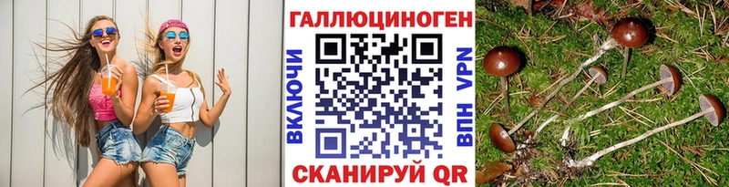 Псилоцибиновые грибы Magic Shrooms  где продают   Богородицк 